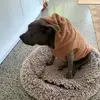 Donna Coles - @donna.coles0 - TikTok