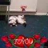donnacolley306 - @donnacolley306 - TikTok