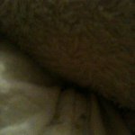 Donna Collier - @spudley42a - Instagram