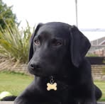 Donna Collison - Facebook