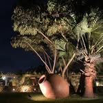 Haras Doña Colorada - @casaharasdonacolorada - Instagram