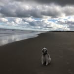 Donna Colton - @djbc22 - Instagram