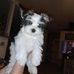 Donna Cotton - Facebook