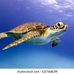 Donna Colucci - Facebook