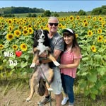 Donna Colucci Viscosi - @dlviscosi1965 - Instagram