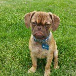 donna coluzzi - @lil.d62 - Instagram