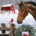 Donna Comeau - Facebook