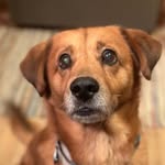 Donna Comer - @djc1249 - Instagram