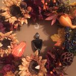 Donna Comer - @donnacomer14 - Instagram