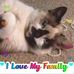 Donna Kinder Comer - Facebook