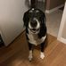 Donna Compo - Facebook