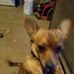 Donna Compo - Facebook