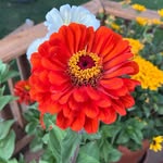 Donna - @donna_compos1 - Instagram