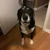 donnacompo - @donnacompo - TikTok