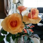 Donna Compton - @compton.donna - Instagram