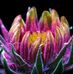 Donna Compton - Facebook