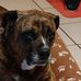 Donna Compton - Facebook