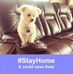 Donna Comstock - Facebook