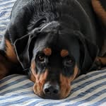 Donna Conaway - @donnaconway55 - Instagram