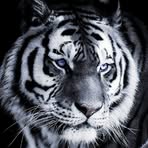 Donna Conaway - Facebook
