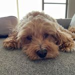 Donna Cone - @donnacone24 - Instagram