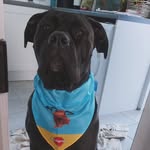 donna - @donna_coneycorso - Instagram