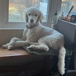 Donna Conlon - @donna.conlon3 - Instagram