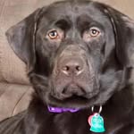 Donna Connolly - @donna.connolly.142 - Instagram