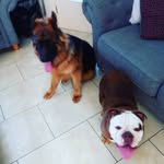 Donna Connolly - @donna.connolly.710 - Instagram