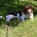 Donna Connell - Facebook