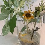 donna Connell - @donnaconnell5829 - Instagram