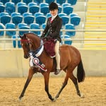 Donna Connell - @connell_equestrian_donna - Instagram