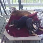 Donna Connick - @donnaconnick - Instagram