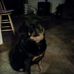 Donna Cookson - Facebook