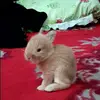 donnacool - @donnacool - TikTok