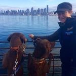 Donna Cooley - @cooley8231 - Instagram