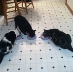 Donna Cooley - Facebook