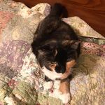 Donna Cooley Snyder - @princesscaraboo7 - Instagram