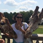 Donna Coon Miers - @elizaveta_inst166 - Instagram