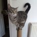 Donna Cordingley - Facebook