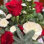 Donna Fostini Corey - @corey_donna - Instagram