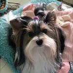 Donna Corey - @corey.donna - Instagram