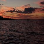 Donna Corey - @donn_acorey - Instagram