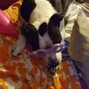 donnacornett333 - @donnacornett333 - TikTok