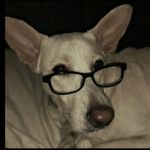 Donna A Cornelius - @donna.cornelius.98 - Instagram