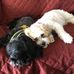 Donna Cornelius - Facebook
