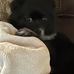 Donna Stalmach-Cornelius - Facebook