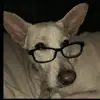 donnaacornelius - @donnaacornelius - TikTok
