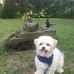 Donna Cornell - Facebook