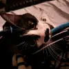 Donna - @donnascraftingcorner - TikTok